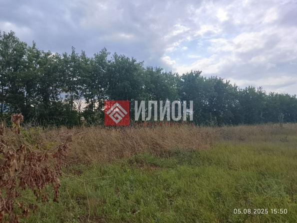 
  Продается земельный участок 50 соток. Фото 4.