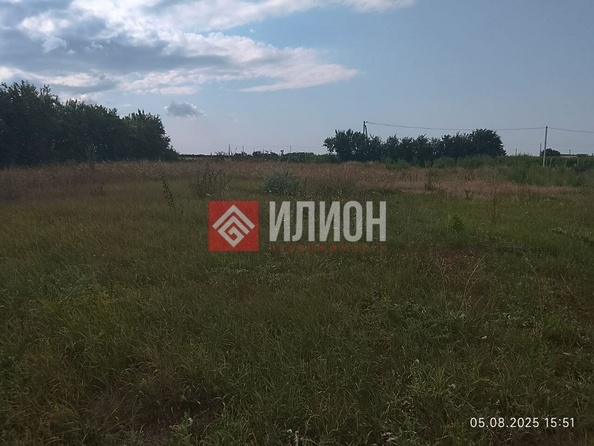 
  Продается земельный участок 50 соток. Фото 7.