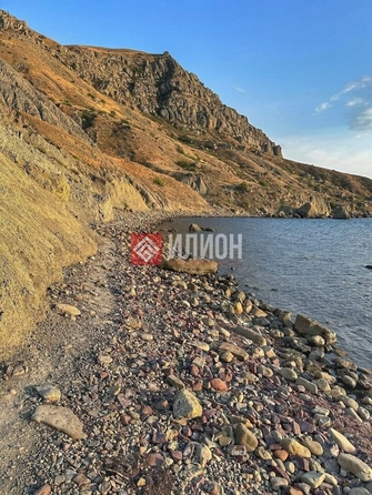 
  Продается земельный участок 50 соток. Фото 5.