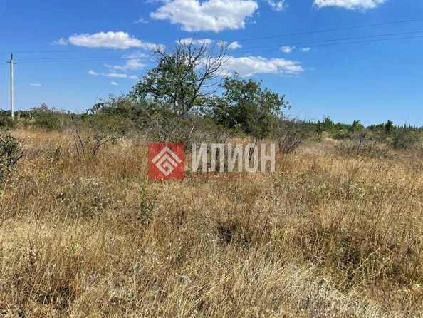 
  Продается земельный участок 400 соток. Фото 3.