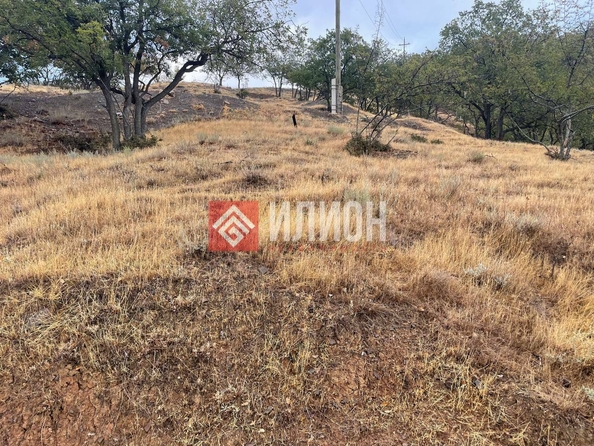 
  Продается земельный участок 8 соток. Фото 10.