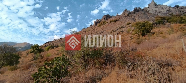 
  Продается земельный участок 25 соток. Фото 9.