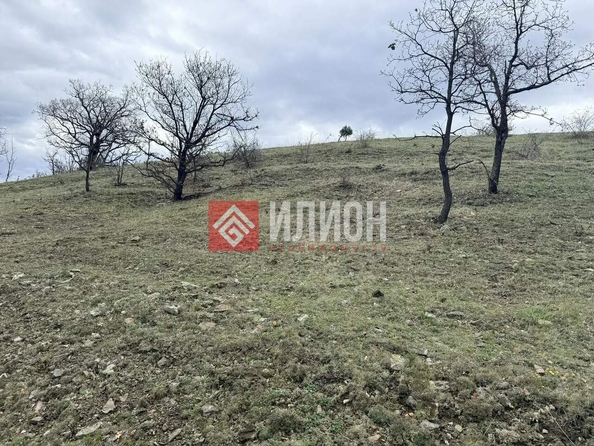 
  Продается земельный участок 4 сотки. Фото 12.