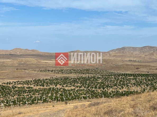 
  Продается земельный участок 6 соток. Фото 5.