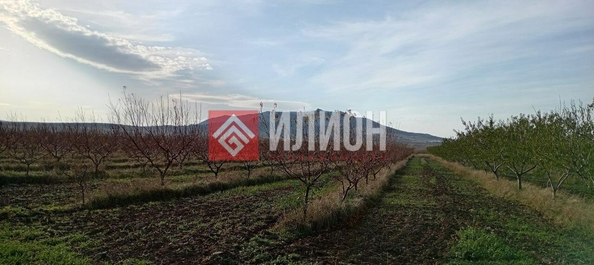
  Продается земельный участок 60 соток. Фото 2.