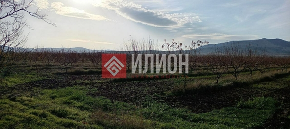 
  Продается земельный участок 60 соток. Фото 4.