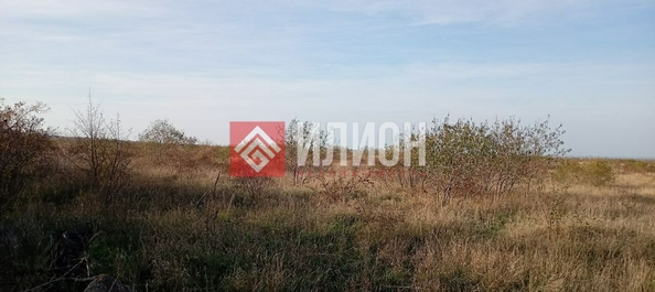 
  Продается земельный участок 60 соток. Фото 5.