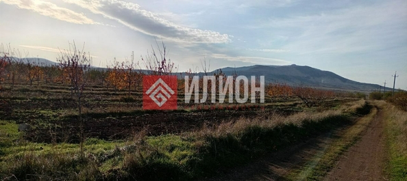 
  Продается земельный участок 60 соток. Фото 6.