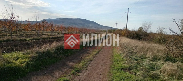 
  Продается земельный участок 60 соток. Фото 7.