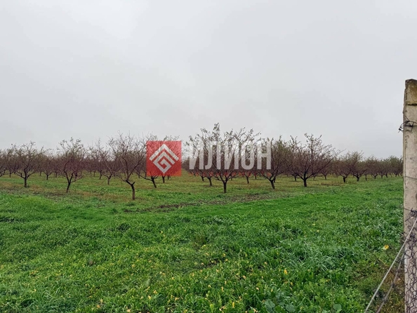 
  Продается земельный участок 480 соток. Фото 3.