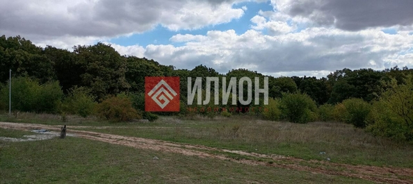 
  Продается земельный участок 10 соток. Фото 2.