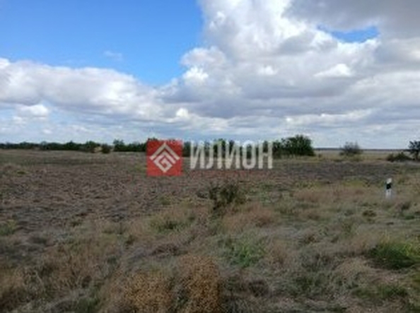 
  Продается земельный участок 600 соток. Фото 2.