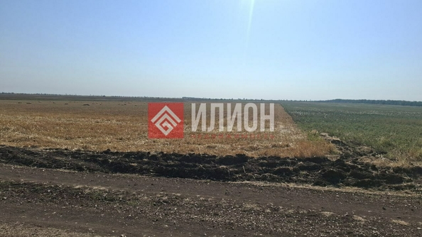 
  Продается земельный участок 800 соток. Фото 2.