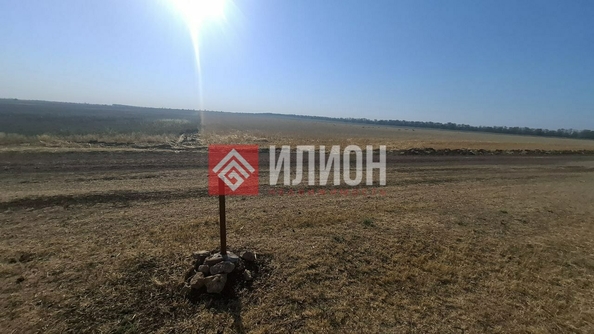 
  Продается земельный участок 800 соток. Фото 7.
