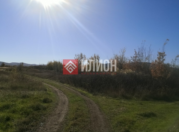
  Продается земельный участок 243 сотки. Фото 5.