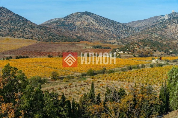 
  Продается земельный участок 5.5 соток. Фото 8.