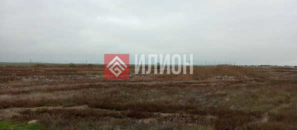 
  Продается земельный участок 100 соток. Фото 4.