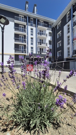 
  Продается 1-комн. квартира 31.4 м². Фото 2.