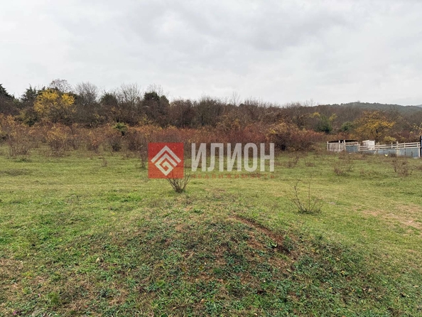 
  Продается земельный участок 6 соток. Фото 3.