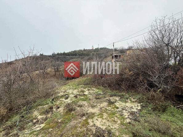 
  Продается земельный участок 6 соток. Фото 4.