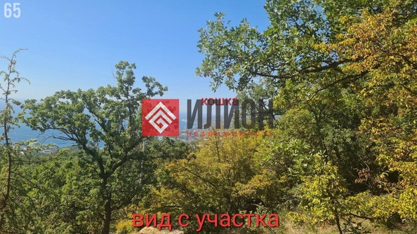 
  Продается земельный участок 7.5 соток. Фото 5.