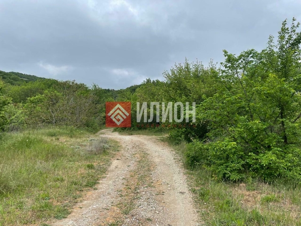 
  Продается земельный участок 10 соток. Фото 3.