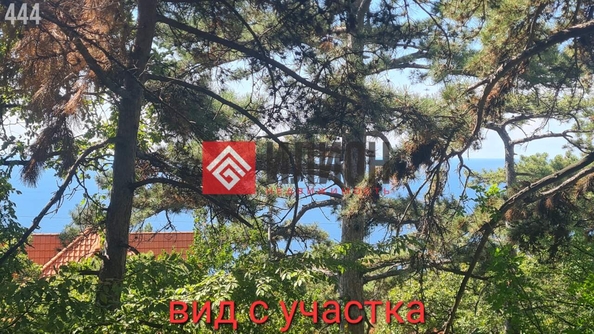 
  Продается земельный участок 15 соток. Фото 1.
