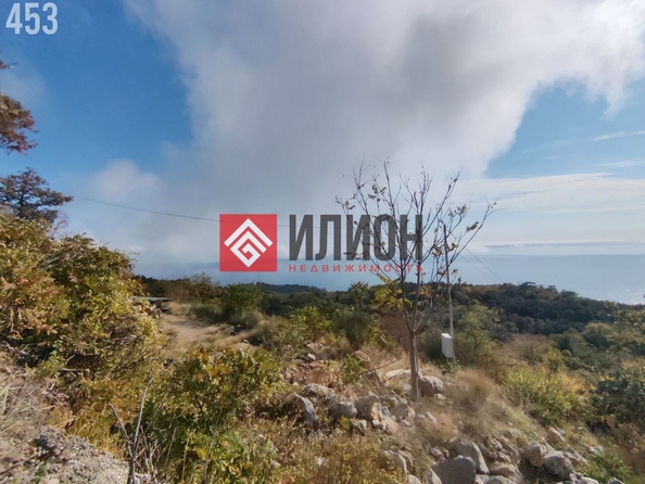 
  Продается земельный участок 10 соток. Фото 6.