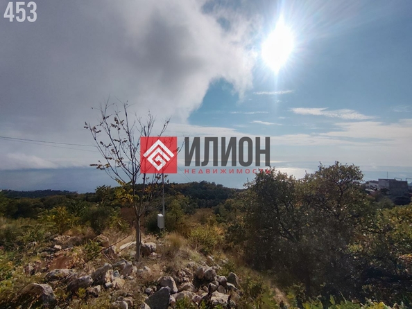 
  Продается земельный участок 10 соток. Фото 7.
