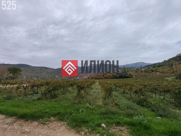 
  Продается земельный участок 6 соток. Фото 1.