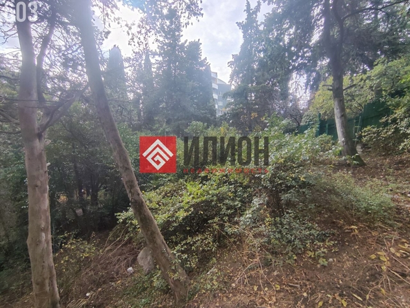 
  Продается земельный участок 6 соток. Фото 4.