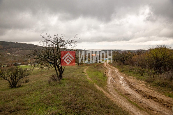 
  Продается земельный участок 60 соток. Фото 2.