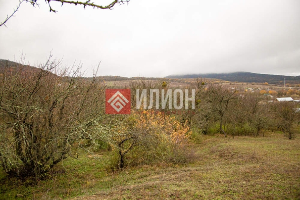 
  Продается земельный участок 60 соток. Фото 3.