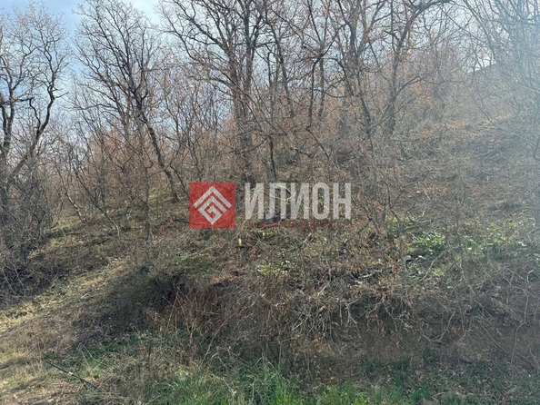 
  Продается земельный участок 1.5 сотка. Фото 5.