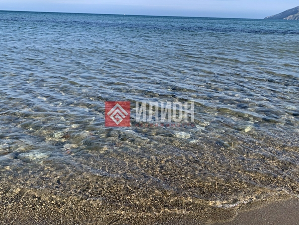 
  Продается готовый бизнес 10000 м². Фото 22.