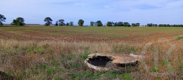 
  Продается земельный участок 100 соток. Фото 2.