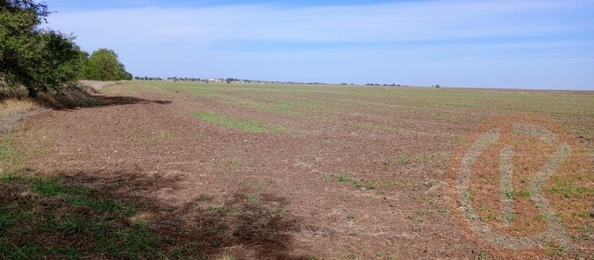 
  Продается земельный участок 100 соток. Фото 5.