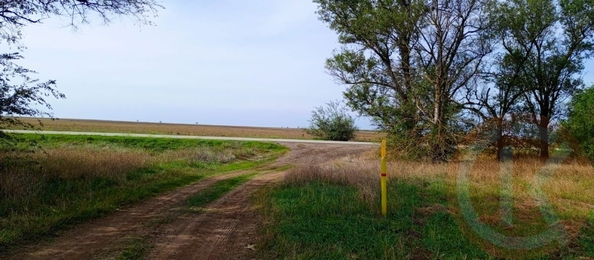 
  Продается земельный участок 100 соток. Фото 8.