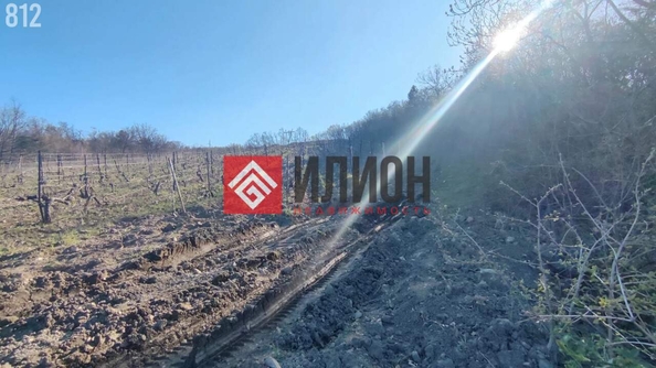 
  Продается земельный участок 6 соток. Фото 8.