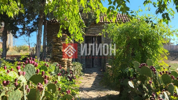 
  Продается земельный участок 24 сотки. Фото 7.