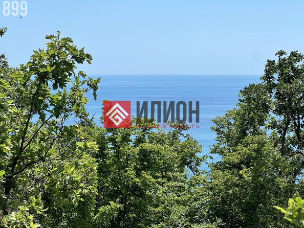 
  Продается земельный участок 71.2 сотка. Фото 18.