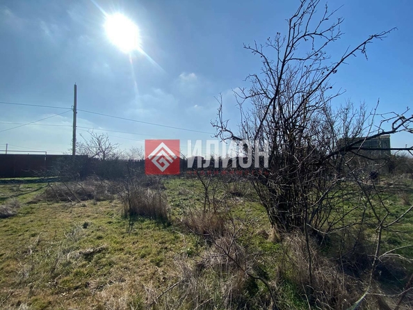 
  Продается земельный участок 6.5 соток. Фото 4.