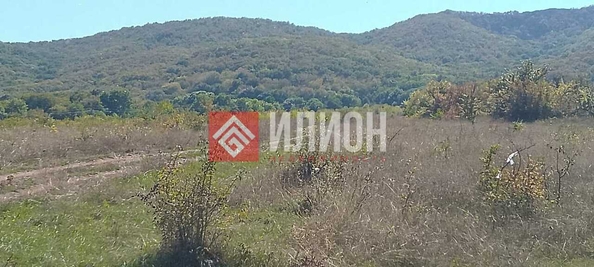 
  Продается земельный участок 12 соток. Фото 2.