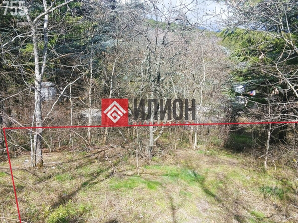
  Продается земельный участок 15 соток. Фото 3.