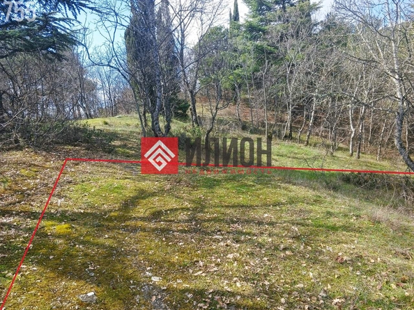 
  Продается земельный участок 15 соток. Фото 4.