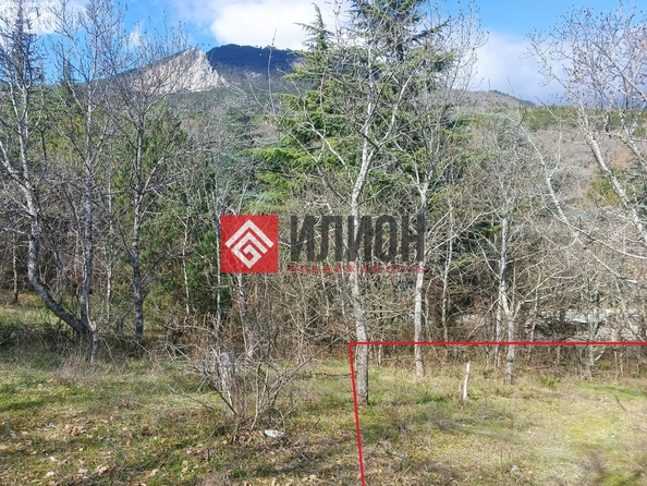 
  Продается земельный участок 15 соток. Фото 5.