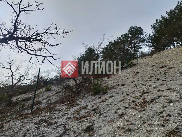 
  Продается земельный участок 11 соток. Фото 4.