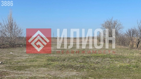 
  Продается земельный участок 25 соток. Фото 4.