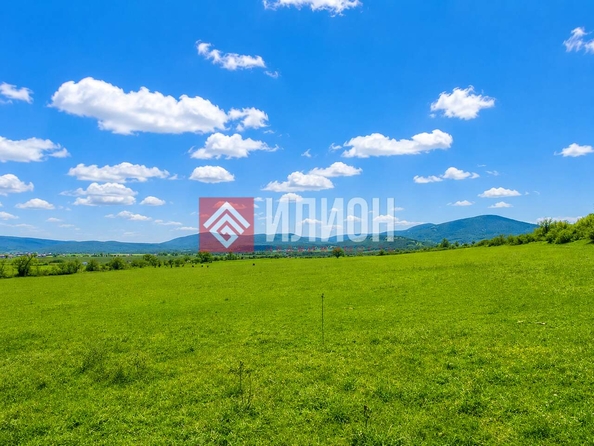 
  Продается земельный участок 130 соток. Фото 3.