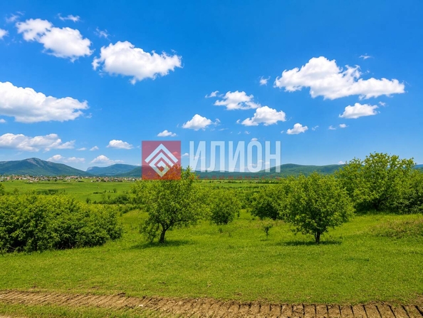 
  Продается земельный участок 130 соток. Фото 4.